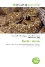 Garter snake