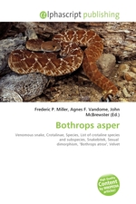 Bothrops asper