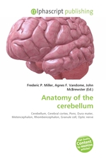 Anatomy of the cerebellum