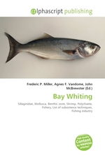 Bay Whiting