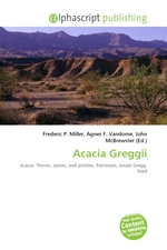 Acacia Greggii