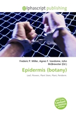 Epidermis (botany)