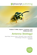 Antenna (biology)