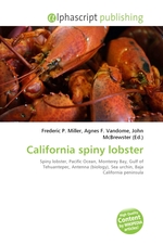 California spiny lobster