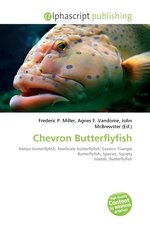 Chevron Butterflyfish