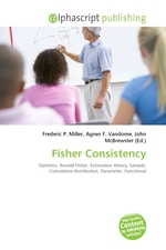 Fisher Consistency