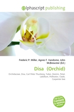 Disa (Orchid)