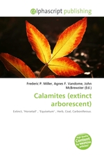 Calamites (extinct arborescent)