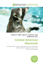 Central American Mammals