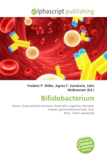 Bifidobacterium