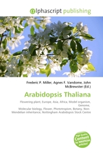 Arabidopsis Thaliana