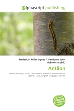 Antlion