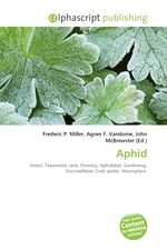 Aphid