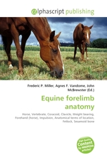 Equine forelimb anatomy