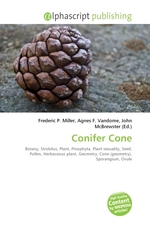 Conifer Cone