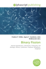 Binary Fission