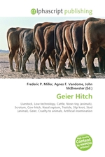 Geier Hitch