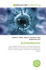 Acinetobacter