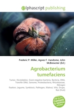 Agrobacterium tumefaciens