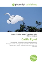 Cattle Egret