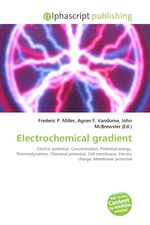 Electrochemical gradient