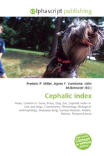 Cephalic index