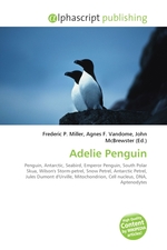 Adelie Penguin