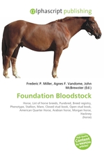 Foundation Bloodstock