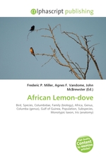 African Lemon-dove