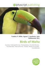 Birds of Malta