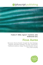 Ficus Aurea