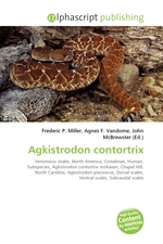 Agkistrodon contortrix