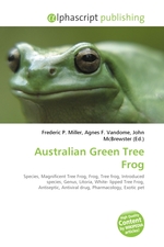 Australian Green Tree Frog