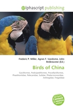 Birds of China