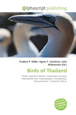 Birds of Thailand