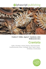 Craniata