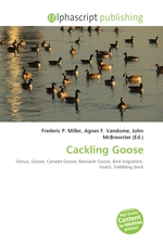 Cackling Goose