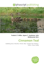 Cinnamon Teal