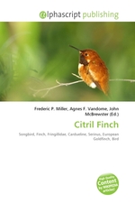 Citril Finch