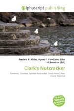 Clarks Nutcracker