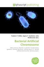 Bacterial Artificial Chromosome