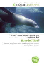 Bearded Seal