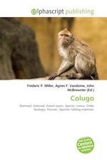 Colugo