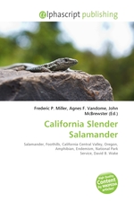 California Slender Salamander