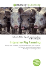 Intensive Pig Farming