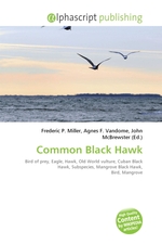 Common Black Hawk