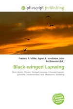 Black-winged Lapwing