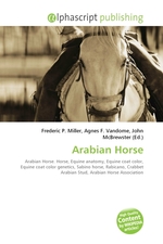 Arabian Horse