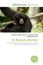 De Brazzas Monkey