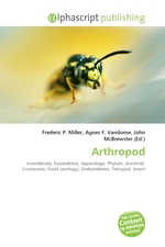 Arthropod